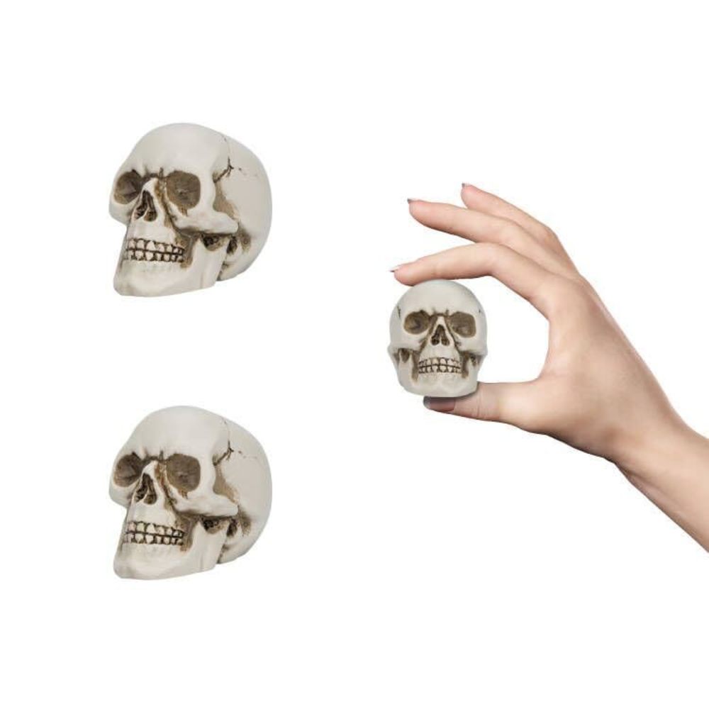 Resin Skull 2 Pcs/set, Mini Skull Model For Home Decoration, Halloween Skull🖖